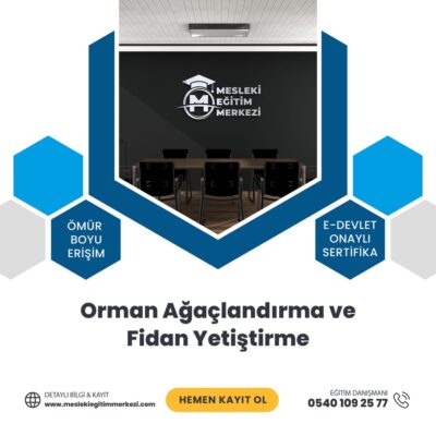 Orman Ağaçlandırma ve Fidan Yetiştirme