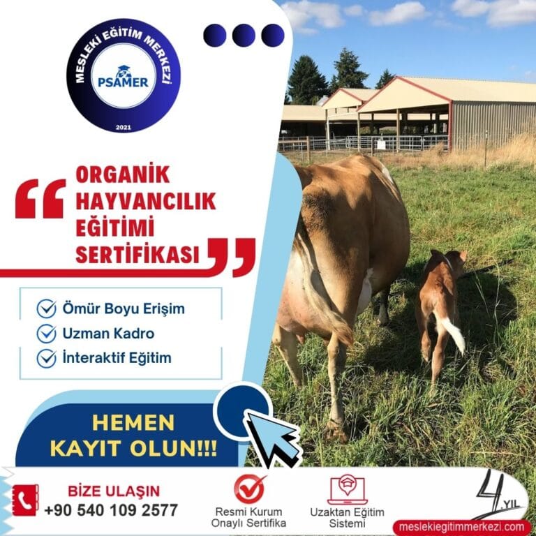 Organik Hayvancılık sertifikası nedir?