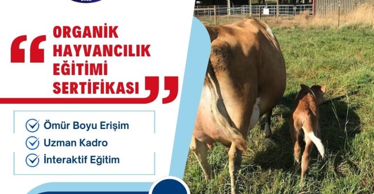 ORGANİK HAYVANCILIK