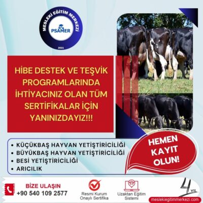 hayvan destek projesi