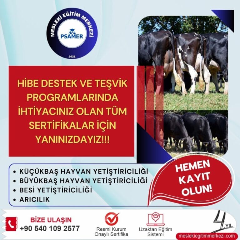 Besi Sığırcılığı Eğitimi Sertifikası