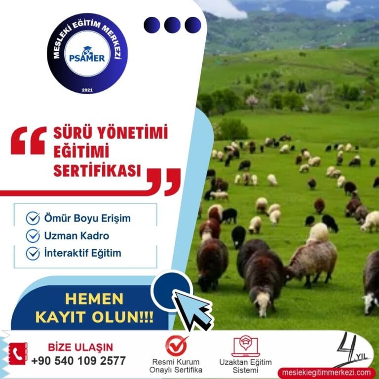 Sürü Yönetimi Sertifikası