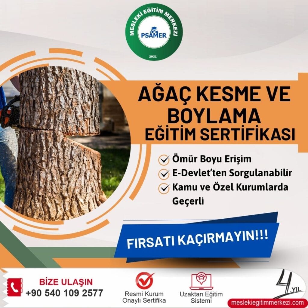 Orman İşletmelerine Ağaç Kesme Operatörü