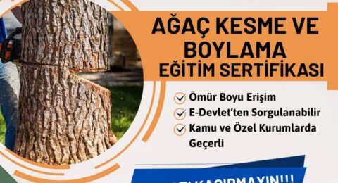 Orman İşletmelerine Ağaç Kesme Operatörü