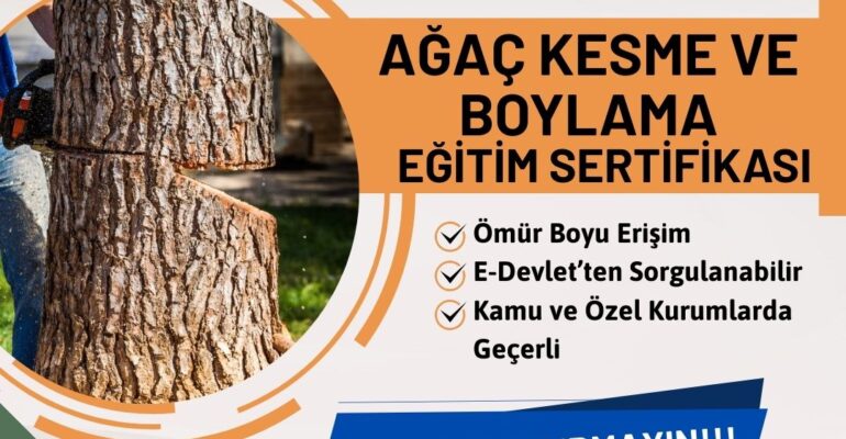 Orman İşletmelerine Ağaç Kesme Operatörü