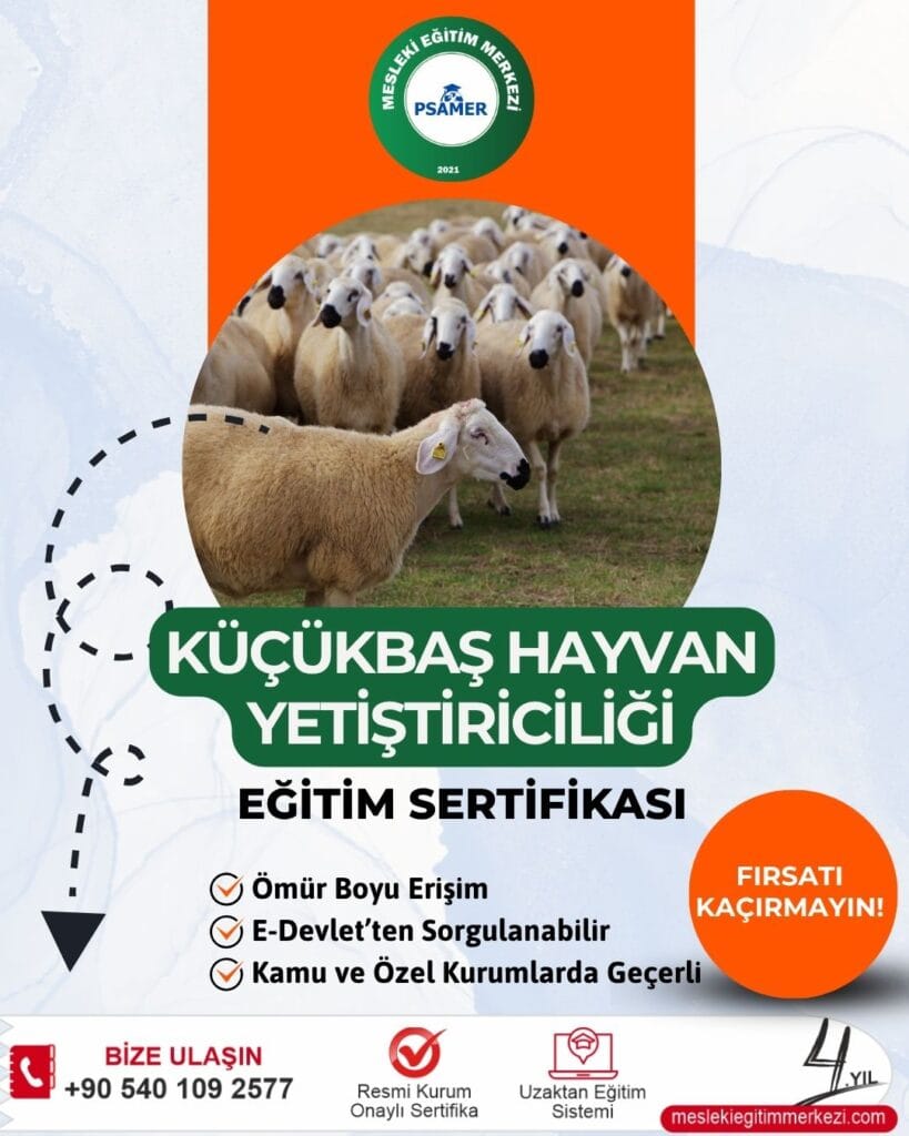 Küçükbaş Hayvan Yetiştiriciliği Sertifikası