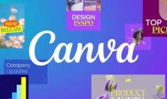 Canva Eğitim Sertifikası