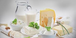 Süt ve Süt Ürünleri Eğitim Sertifikası